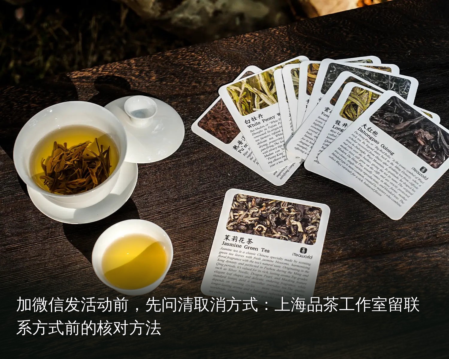 品茶素材｜007｜茶席与茶具